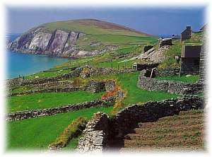 dingle.jpg (14930 bytes)