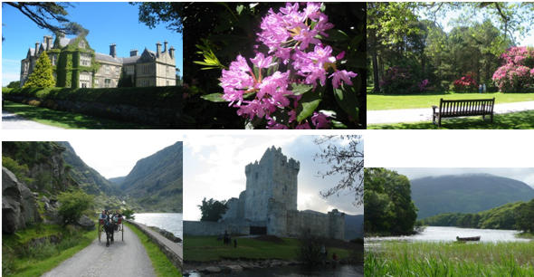 Muckross House & Gardens, Jaunting Car on the Ring of Kerry, Ross Castle Killarney, Killarney Lakes